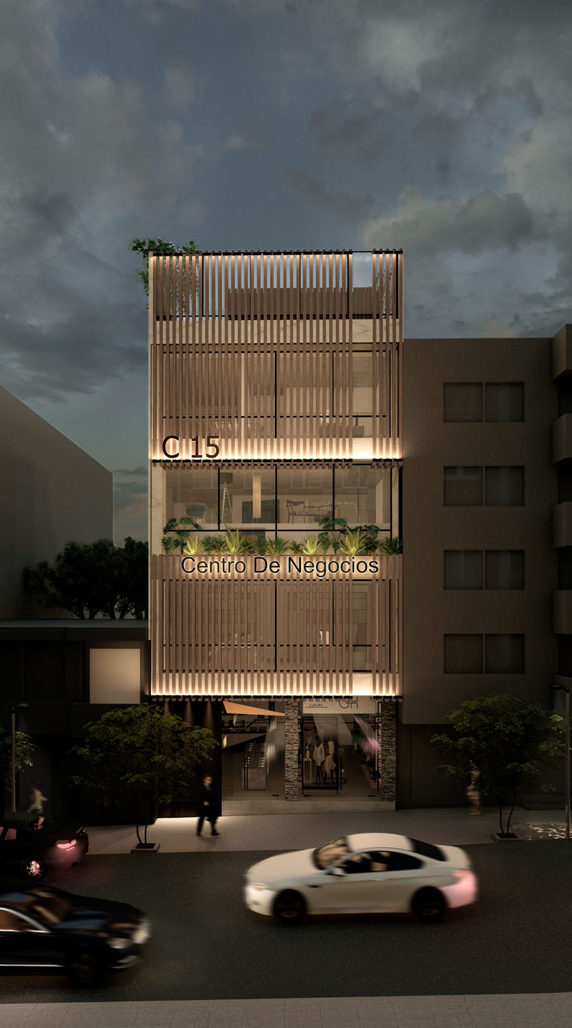 Edificio C15